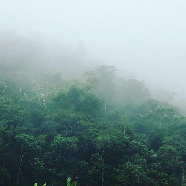 Sitio Recanto Da Preguica Santa Teresa  Exteriér fotografie